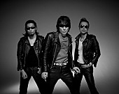 「時雨や9mmら出演の武道館イベントにギターウルフ参戦決定」1枚目/1