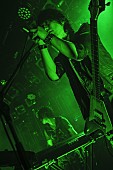 「BOOM BOOM SATELLITES 初の日本武道館公演決定」1枚目/5