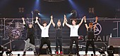 「SPYAIR 初の武道館ライブでメンバーと笑顔の別れ、「誇らしく思います」」1枚目/9