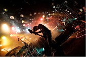 「BOOM BOOM SATELLITES 観客撮影ライブ写真で新曲MVを」1枚目/9