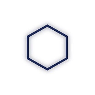 「女王蜂 来年2月からの無期限活動休止を発表」