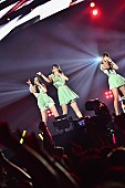 「Perfume　幕張を踊らす3人の妖精」1枚目/1