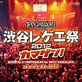 「MUNEHIROや卍 LINEら参加の【渋谷レゲエ祭2012】がMIX CD＋DVD化」1枚目/1