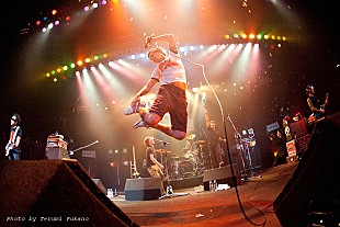 「KEMURI 再結成ツアー＆【AIR JAM】を収めたライブDVD発売へ」