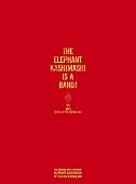 「ボックスセット『the fighting men&amp;#039;s choronicle ～THE ELEPHANT KASHIMASHI official live bootleg box～』」2枚目/5