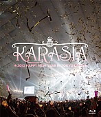 「『KARASIA 2013 HAPPY NEW YEAR in TOKYO DOME』　Blu-ray通常盤」8枚目/10