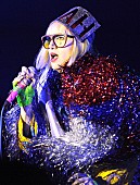 「人気モデル、リリー・コール出演のYYYs新曲ビデオ公開」1枚目/1