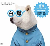 「ゴールデンボンバー 新作ジャケにソフバン白戸家のお父さん登場」1枚目/1