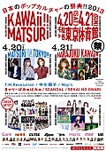 「T.M.R、中川翔子、きゃりー、BiSら出演のKAWAiiフェス 全貌発表」1枚目/1
