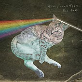 「モーサム百々和宏 最新ソロ作の詳細＆ジャケ写発表」1枚目/5