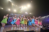 「恵比寿マスカッツ 解散公演に麻美ゆま、桜木凛、みひろ等も」1枚目/5