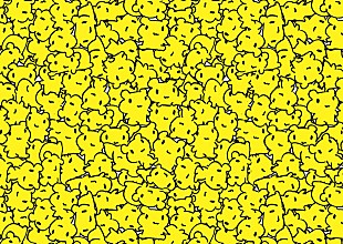 「顔出しNGの宅録女子シンガー 2.5Dでまさかの顔出し生配信」