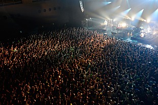 「WEAVER サプライズ連発のツアー最終公演で「嘘みたいな景色だなぁ」」