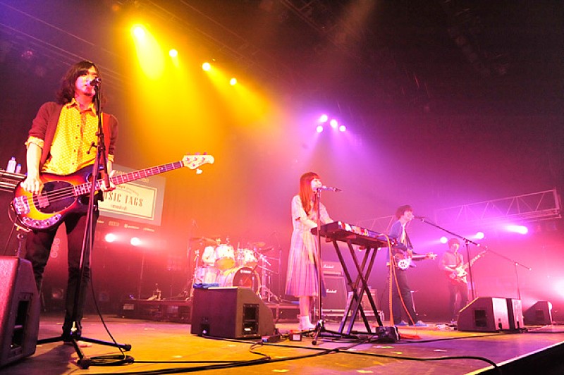 「本棚のモヨコ」4枚目/12