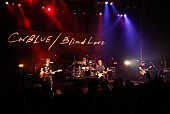 「CNBLUE 新作記念プレミアムイベントでファンへ感謝」1枚目/2
