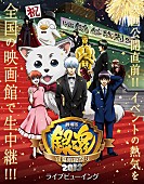 「映画『銀魂』公開記念【銀幕前夜祭り】にSPYAIRら出演」1枚目/2