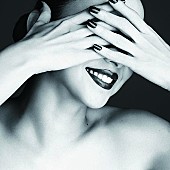 「CD盤」3枚目/3