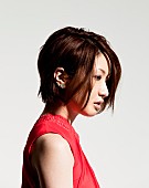 「さめざめ iTunes3位のベスト盤解説CDを追加配布」1枚目/2