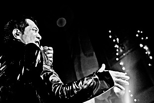 「矢沢永吉 一夜限りのスペシャルライブを生配信」