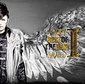 「アルバム『BEST OF THE BEST vol.1 -WILD-』　Blu-ray / DVD盤」3枚目/5