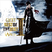 「アルバム『BEST OF THE BEST vol.1 -WILD-』　CD ONLY盤」5枚目/5