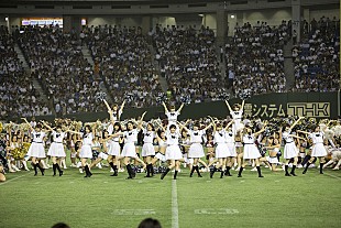 「乃木坂46 チアリーダーズと圧巻の共演「いつかはこの東京ドームでも」」