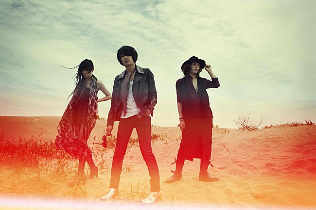 「a flood of circle、最新アルバムから表題曲のMVを公開」1枚目/2