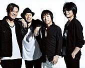 「フラカン メンバー厳選曲集＆ライブ映像作品を同時リリースへ」1枚目/2