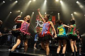 「最強のご当地アイドル ひめキュンが歴戦2バンドとの共演実現」1枚目/9