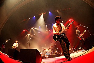 「THE ROOSTERS 地元・福岡でのベストソングスライブをDVD化」