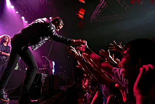 「ザ・キラーズ 6年ぶりの来日公演が大盛況で終了、11月にはベスト・アルバムもリリース」