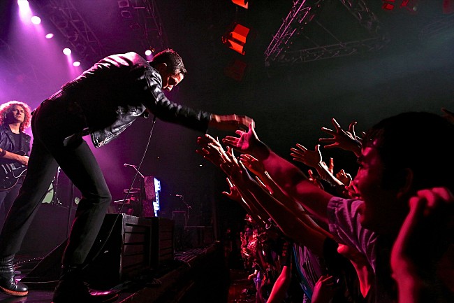 「ザ・キラーズ 6年ぶりの来日公演が大盛況で終了、11月にはベスト・アルバムもリリース」1枚目/4