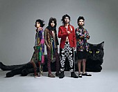 「黒猫チェルシー」4枚目/8