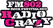 「【RADIO CRAZY】SOIL＆椎名林檎、サカナクション、FLOWER FLOWER、サンフジンズら第3弾出演アーティスト＆日割り発表！」1枚目/28