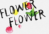 「FLOWER FLOWER」4枚目/28