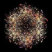 「ゴールド・パンダ 6曲入りEPをデジタル・リリース」1枚目/2