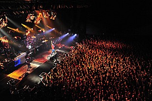 「UVERworld 最新ライブDVDで1位獲得、年末の“男祭り”では「違いを見せつける」」