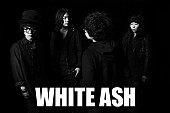 「WHITE ASH 新作からJRA【ジャパンカップ】CM起用のMV解禁」1枚目/2