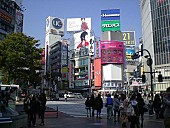 「渋谷ボード」3枚目/6