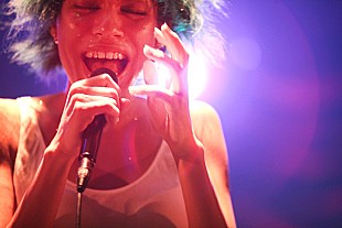 「女王蜂 活動再開を宣言「完全体へと変貌を遂げました」」