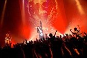 「MUCC 2DAYSサーキット終盤の新木場公演も大盛況に」1枚目/6