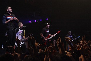 「“サイコー”なゼブラヘッドがジャパンツアーで見せた狂乱の宴」