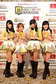 「【BJMA2013】はAKBが最優秀賞含む4部門を3年連続受賞、ライブ最多賞はモー娘。」1枚目/4
