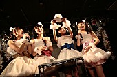 「乙女新党 初ワンマン大盛況、アニソンメドレーで銀魂やけいおん!!も」1枚目/12