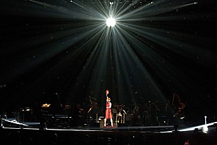 「椎名林檎 15周年記念ライブ【党大会】をライブDVD＆BD化、初回盤には特典CDも」