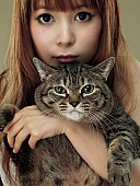 「中川翔子 新アルバムのジャケット写真は“ミラクルキャット・マミタス”」1枚目/4