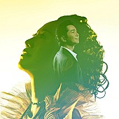 「DREAMS COME TRUE」5枚目/5