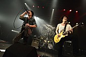 「9mm Parabellum Bullet×THE BACK HORN 決闘披露宴で理想の夫婦誕生!?」1枚目/11