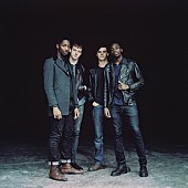 「【Hostess Club Weekender】ドミノ一押し！ザ・ ボヒカズの出演が決定」1枚目/2