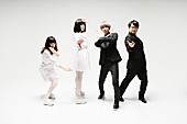 「ゲスの極み乙女。」30枚目/39